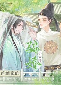 小说首辅家的小夫郎